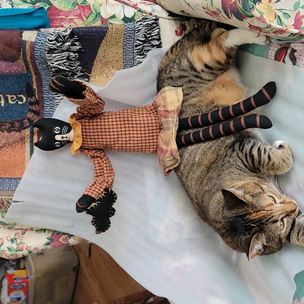 Halloween kitty w/ bendable arms, right paw holding a bat! (Model not for sale)!
